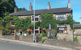 Rosebud Cottage Guest House
